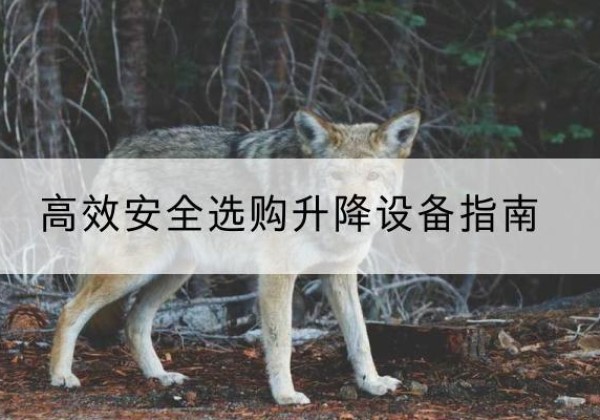七星关升降货梯厂家推荐-*安全选购升降设备指南