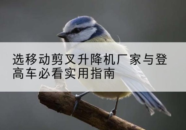 七星关电动升降机厂家-选移动剪叉升降机厂家与登高车必看实用指南