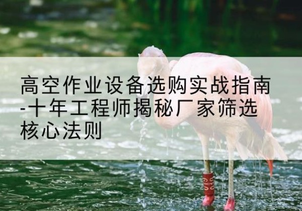 七星关剪叉式升降机厂家-高空作业设备选购实战指南-十年工程师揭秘厂家筛选核心法则